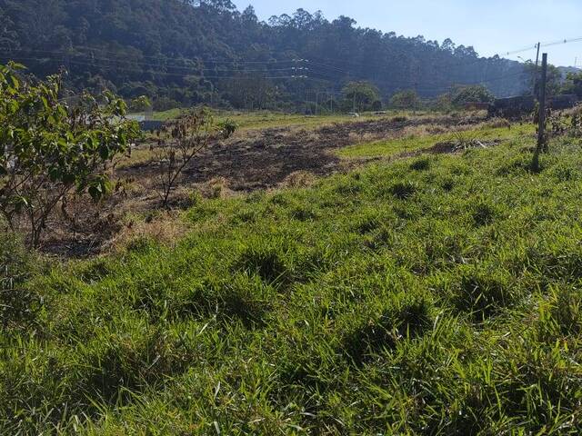 Área para Venda em Cotia - 3